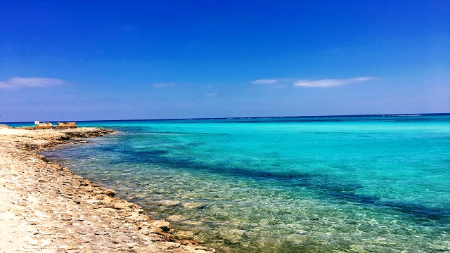 тури в Ель-Аламейн