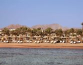 пляж в отеле Royal Albatros Moderna 5*