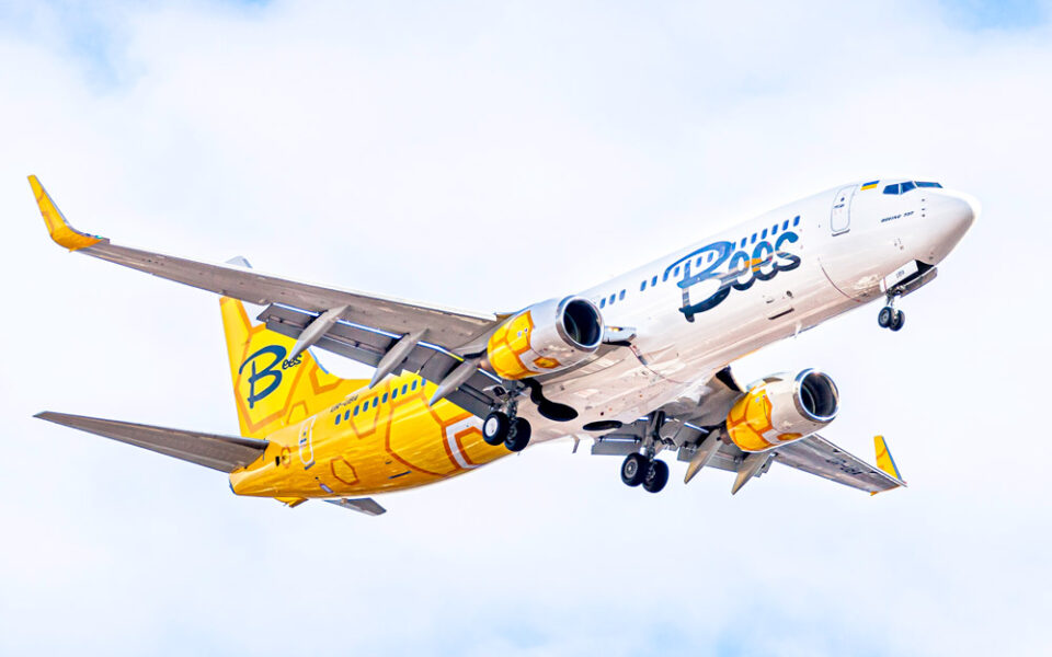 чартерні рейси авіакомпанії Bees Airline