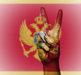 билеты в Черногорию