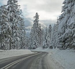 ціни на квитки на автобус в Закопане зі Львова