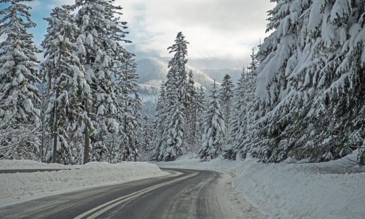 ціни на квитки на автобус в Закопане зі Львова