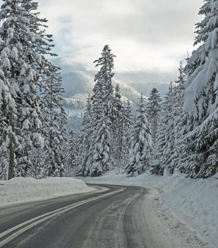 ціни на квитки на автобус в Закопане зі Львова